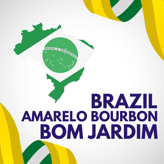 【焙煎豆】ブラジル　ブルボンアマレロ ボンジャルディン農園